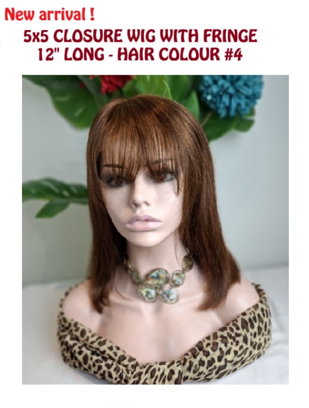 Burmese Remy 2